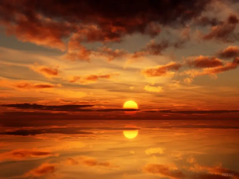Family portrait Sunset Sea Night Cloud Lover Vinyl Photography Background Photographic Tools Backdrops For Studio Photo Props |