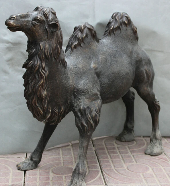 

xd 002233 26" Chinese Bronze Copper Bactrian Desert Running Camel Llama Two-humped Statue