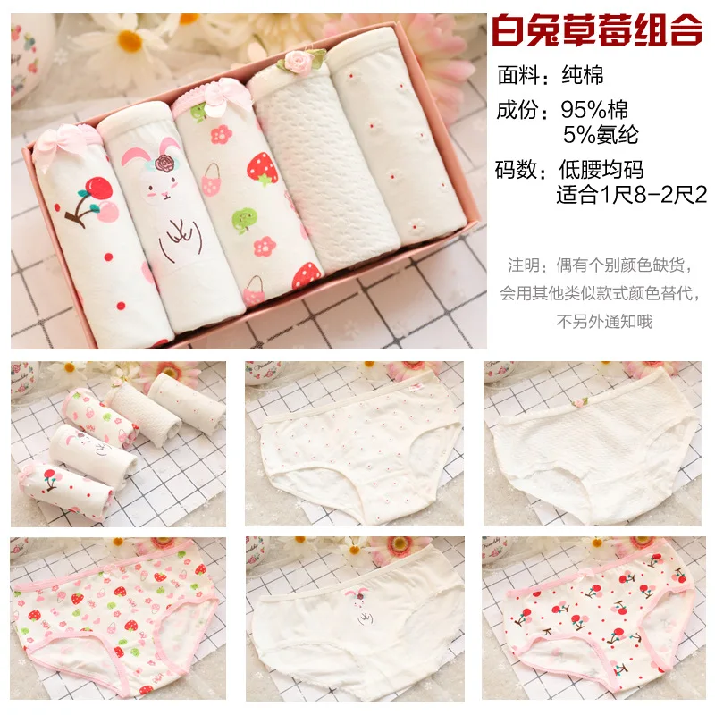 KC6A2311- white rabbit rabbit rabbit teddy bear 