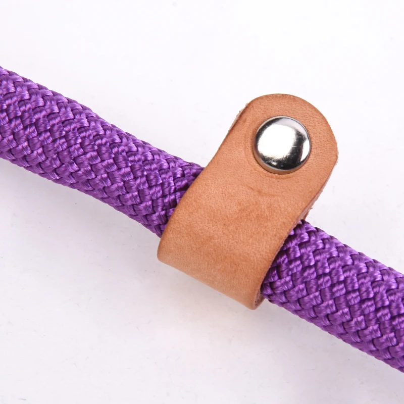 dog leash 6