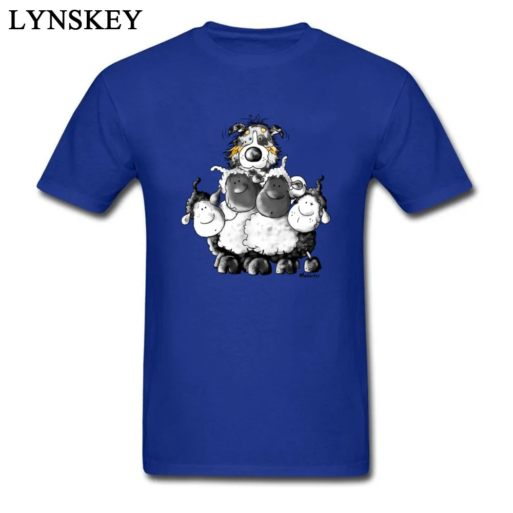 Australian Shepherd and sheep - Dog_blue