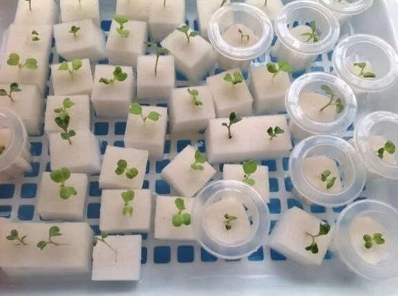 Aeroponics горшок с 15 чистая чашка и портативный подогреваемый раздатчик! 15x горшок с Таймер туман Аэро-горшок Емкость для рассады