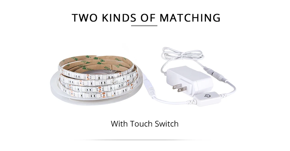 5 lamp for seedlings