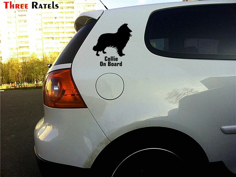 202454f0f03e60bb63__