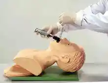 

Electronic tracheal intubation training model (with alarm) Emergency tracheal intubation training model