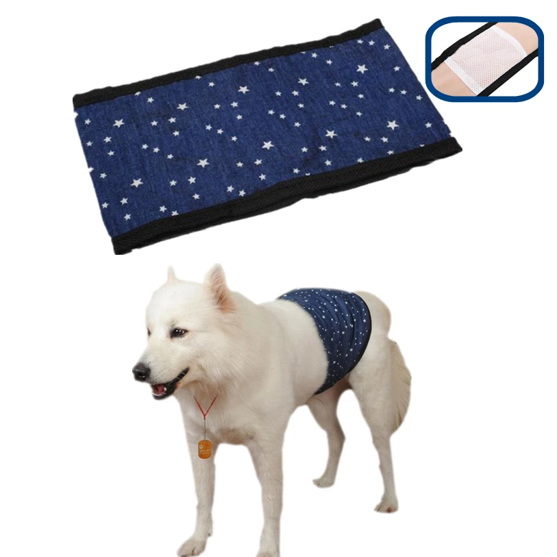 S XL Female Dog Puppy Physiological Pants Golden Retriever Male Samoyed