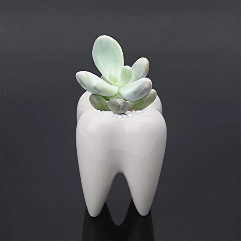 Белый керамический мясистый маленький цветочный горшок Настольный горшок для растений цветочный горшок для оформления дома
