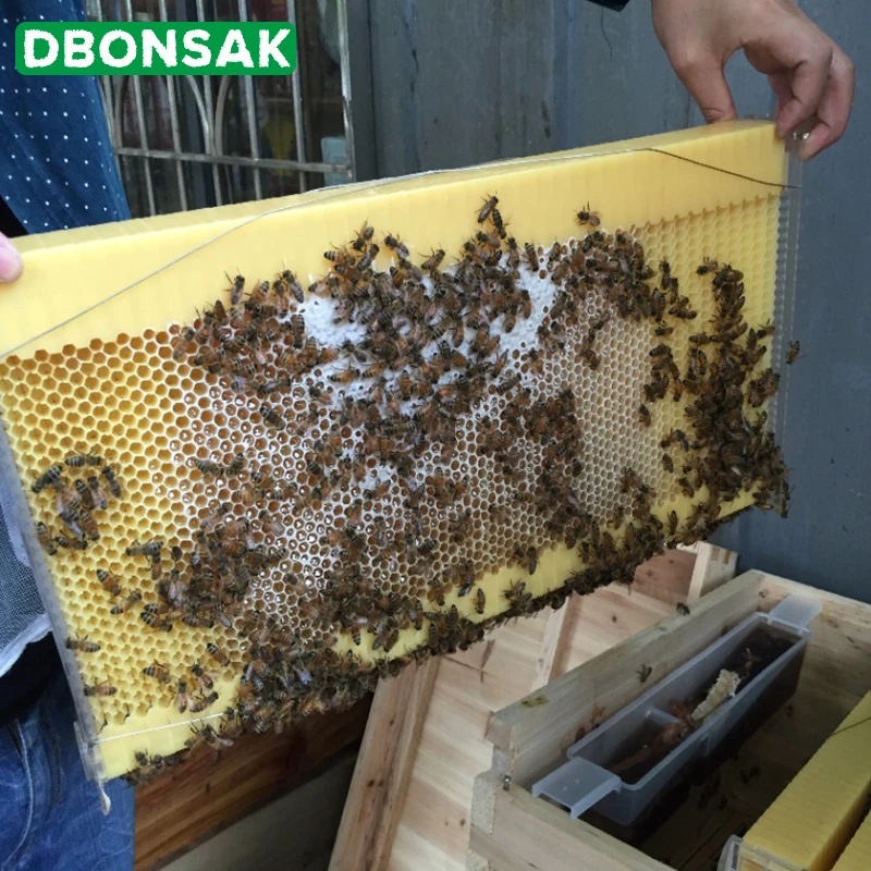 US 7PCS Free Flowing Honeycomb Beehive Wax Frames Beehive Kits for Beehive Nest