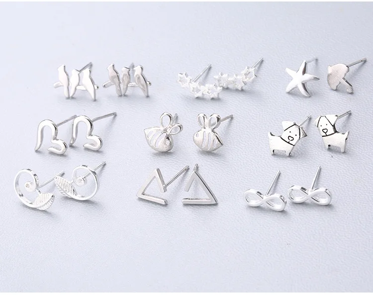 8592499982_1137581325