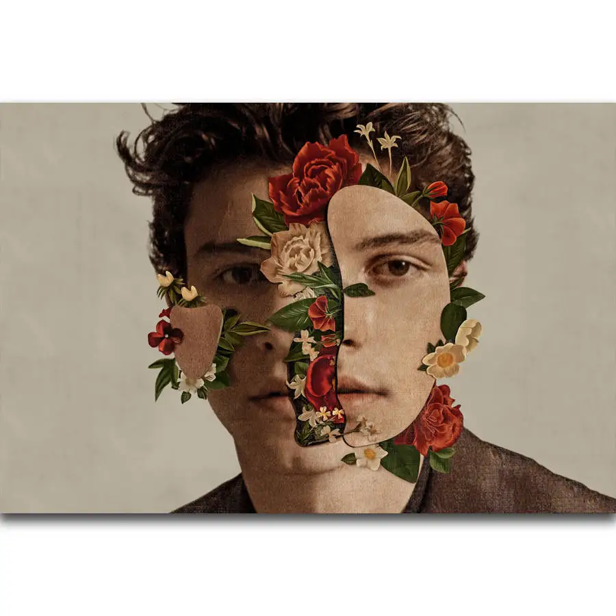 

S846 Album Cover Shawn Mendes Pop Music Singer Star Wall Art Painting Print On Silk Canvas Poster Home Decoration