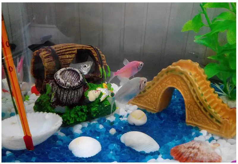 b1