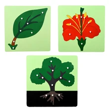 

Wooden Montessori Toys Infant Montessori Botany Puzzle Educational Early Learning Toys For Children Juguetes Brinquedos MI2744H