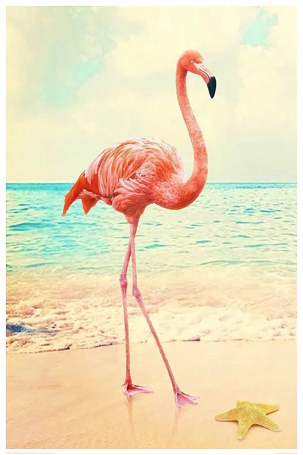 Bricolage cadre flamant rose à la mer plage paysage
