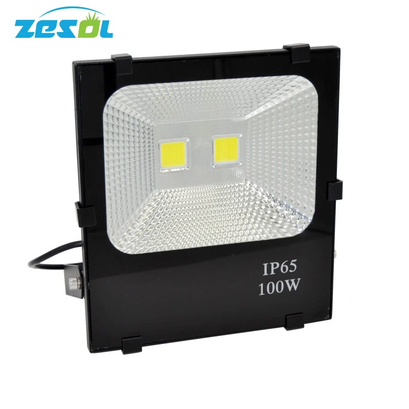 

LED Flood Light 100W Floodlight IP66 Waterproof 220V LED Spotlight Refletor LED Outdoor Lighting Gargen Lamp