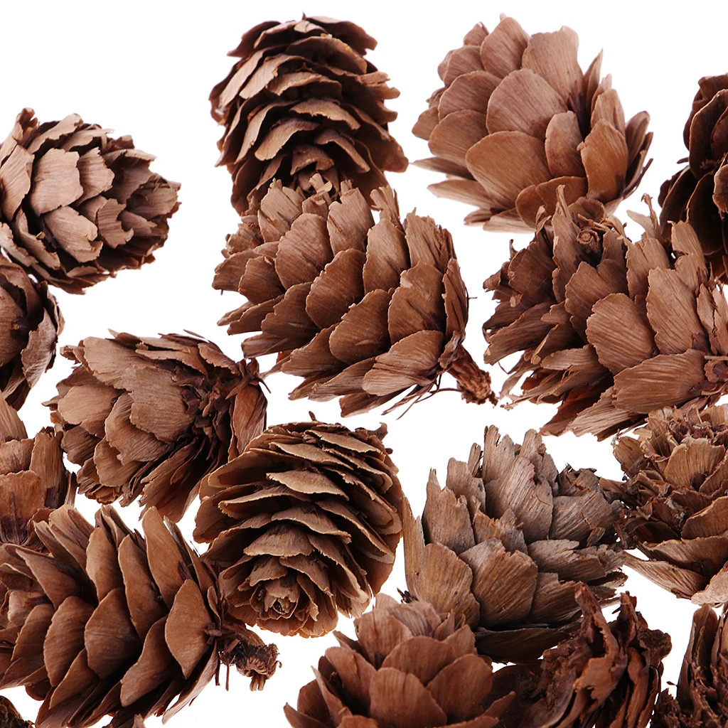 120 шт натуральные декоративные сосновые шишки Pinecone для украшения цветочных ремесел