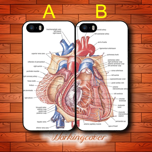 coque iphone 6 plus bff coque iphone 6 plus bff