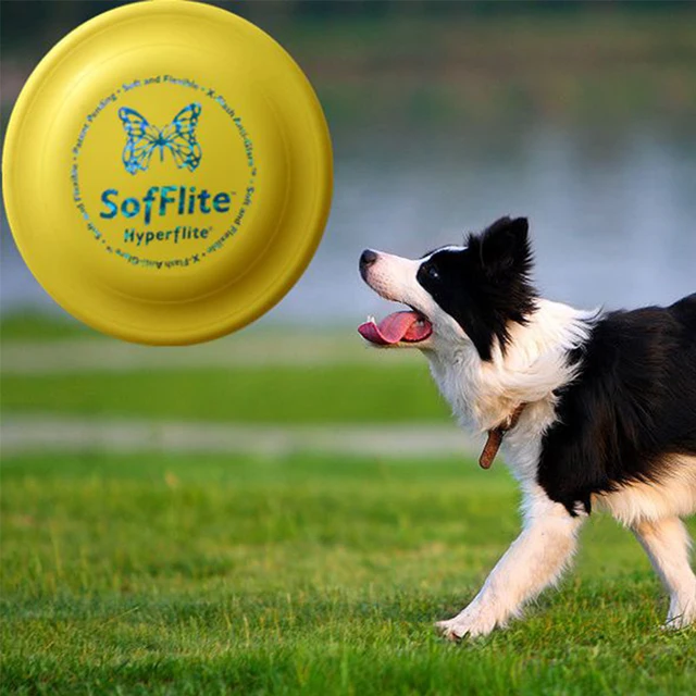 aliexpress com buy cute pet cat dog toys rubble interactive Cute Pet Cat Dog Toys Rubble Interactive Frisbee Puppy Chaser Funny Dog Toy Christmas Speelegoed Pet_640x640 aliexpress com buy cute pet cat dog toys rubble interactive
