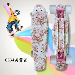 Complete Peny Skateboard 22 Complete Peny Skateboard 22