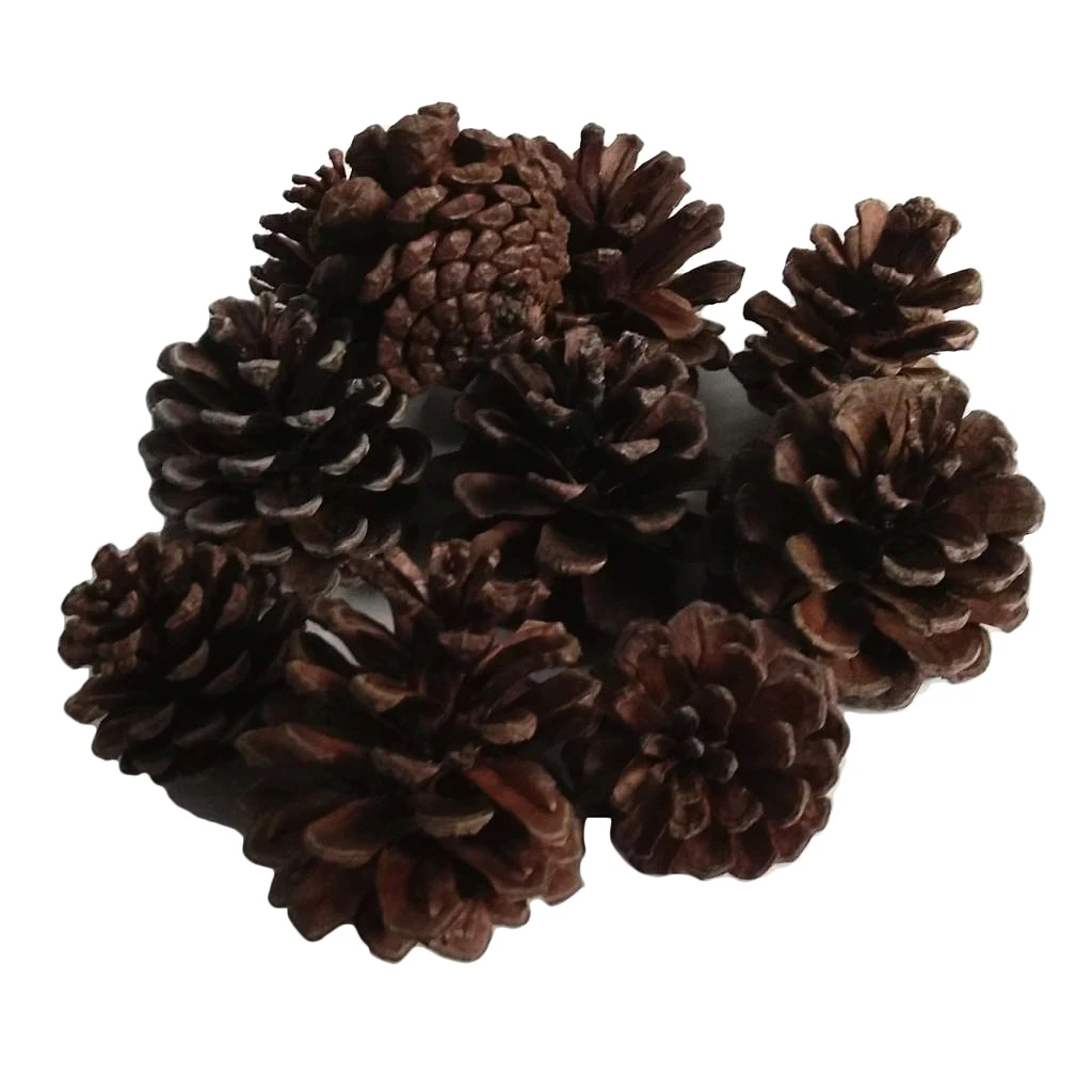 10pcs Natural Pine Cones In Bulk Dried Flowers Table Ornament for Home Christmas Decoration DIY Floral Craft Arrangement