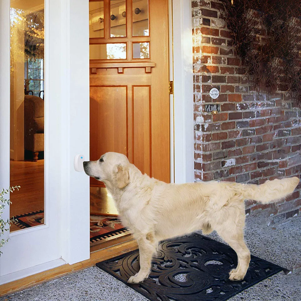 DAYTECH дверной звонок с Беспроводной Touch Собака Колокола Беспроводной дверной звонок для приучения к горшку Кинологический дверные звонки