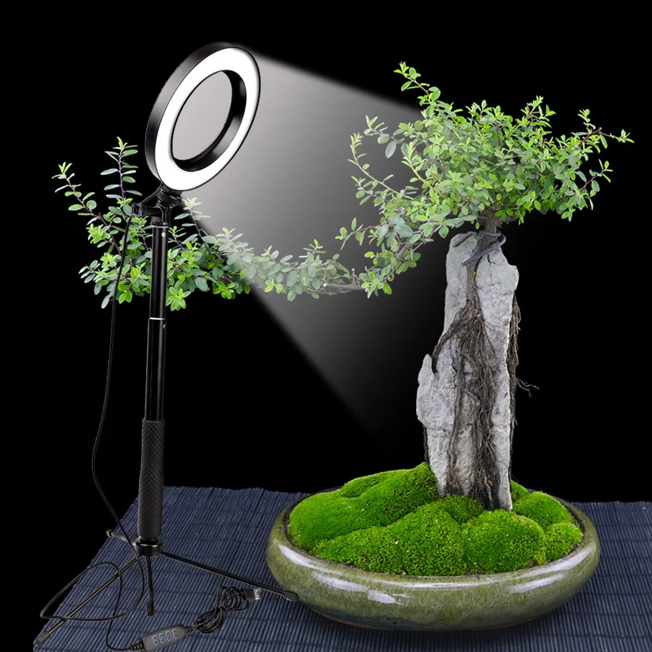 

Dimmable LED Selfie Ring Light Youtube Video Live Photo Studio Light Photography Lighting With Phone Holder USB Plug Tripod
