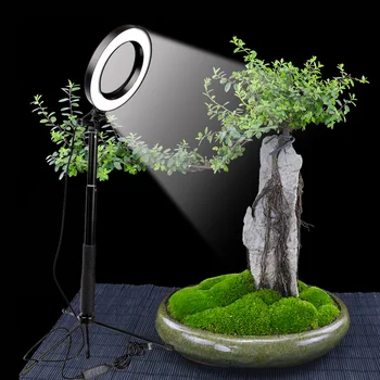 

Dimmable LED Selfie Ring Light Youtube Video Live Photo Studio Light Photography Lighting With Phone Holder USB Plug Tripod