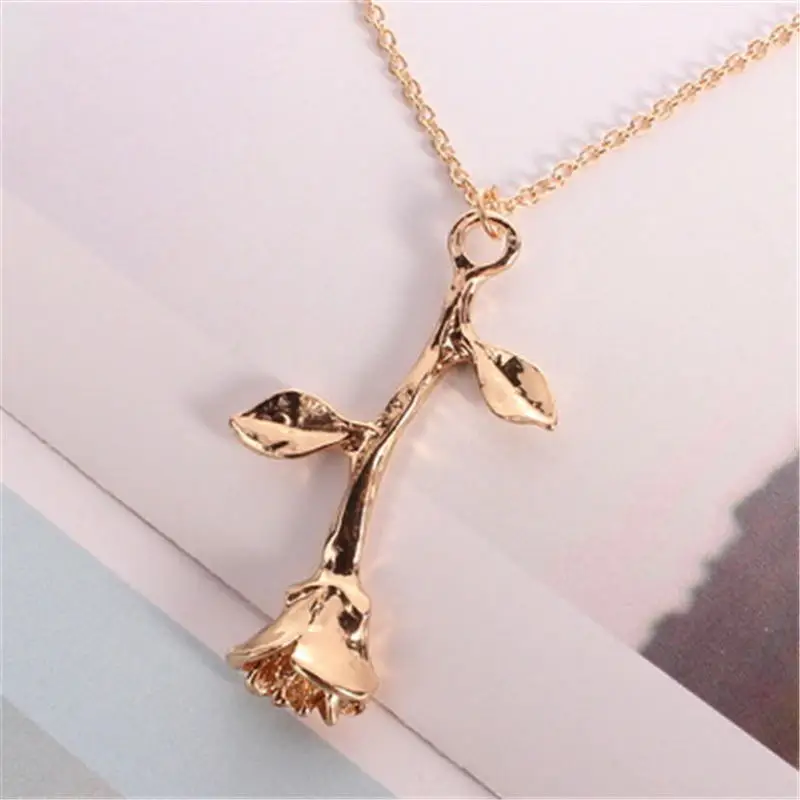 XL0009A (1)