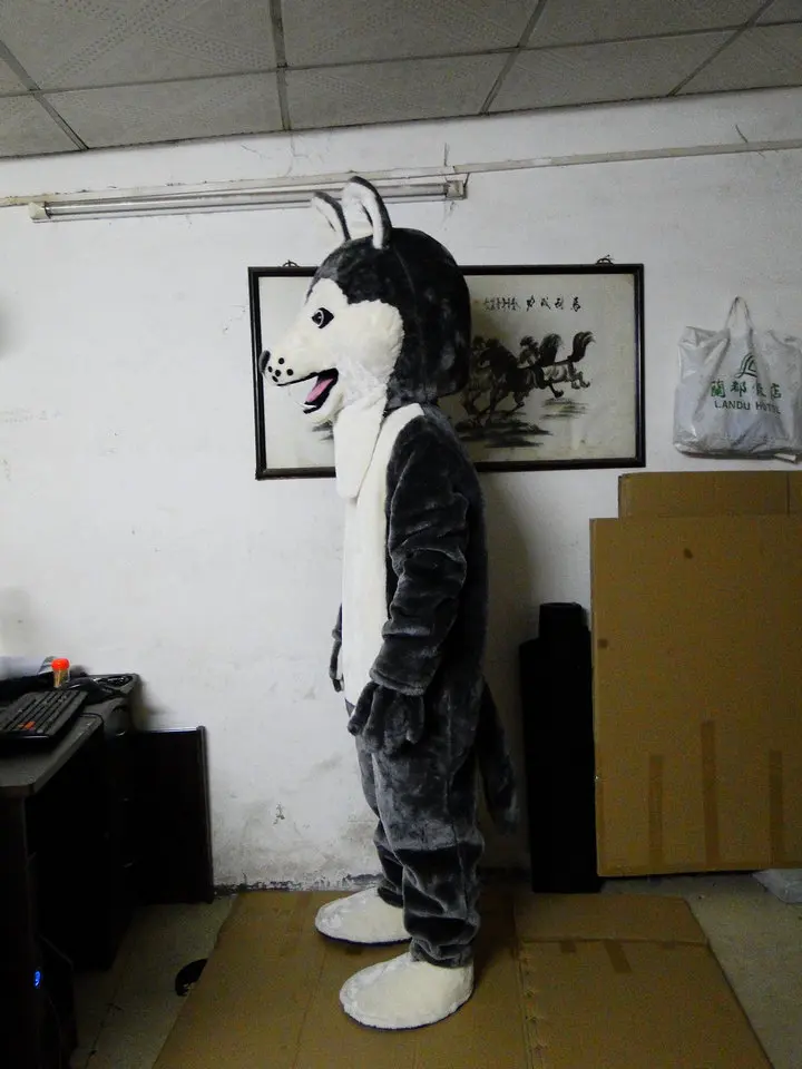  (2)