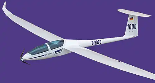 dg 1000 rc glider