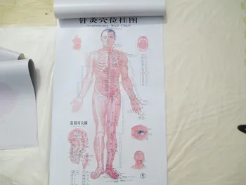 

7pcs 50*80cm Acupuncture wall chart 3 male map 3 female map and one ear acupoint chart English acupuncture map