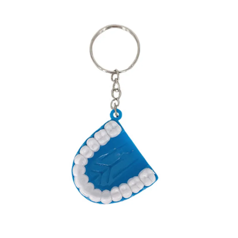 30-Pcs-Dental-Tooth-Keychain-Resin-Molar-Upper-Jaw-Model-Shape-Pendant-Key-Ring-Dentist-Decoration (4)