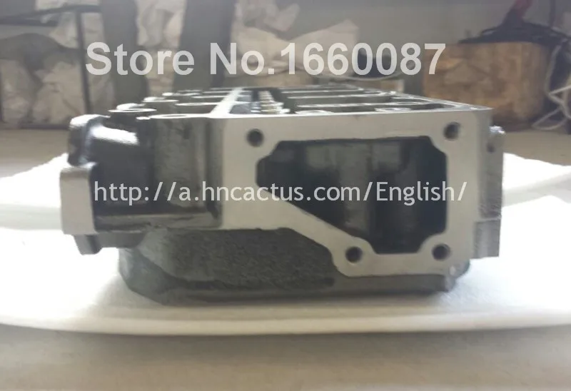 TD27 AMC909112 11039-43G03 20MM 2.7L cylinder head_6