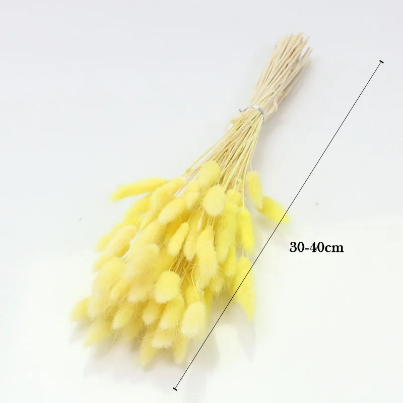 30 шт. Кролик хвост трава Натуральные сушеные цветы для украшения дома Цветочная композиция Свадебное Украшение настоящий цветок трава реквизит