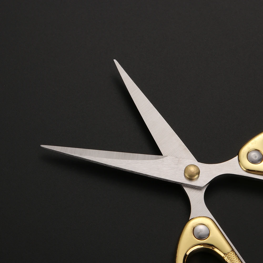 HTB1kkxbXf1H3KVjSZFBq6zSMXXaS