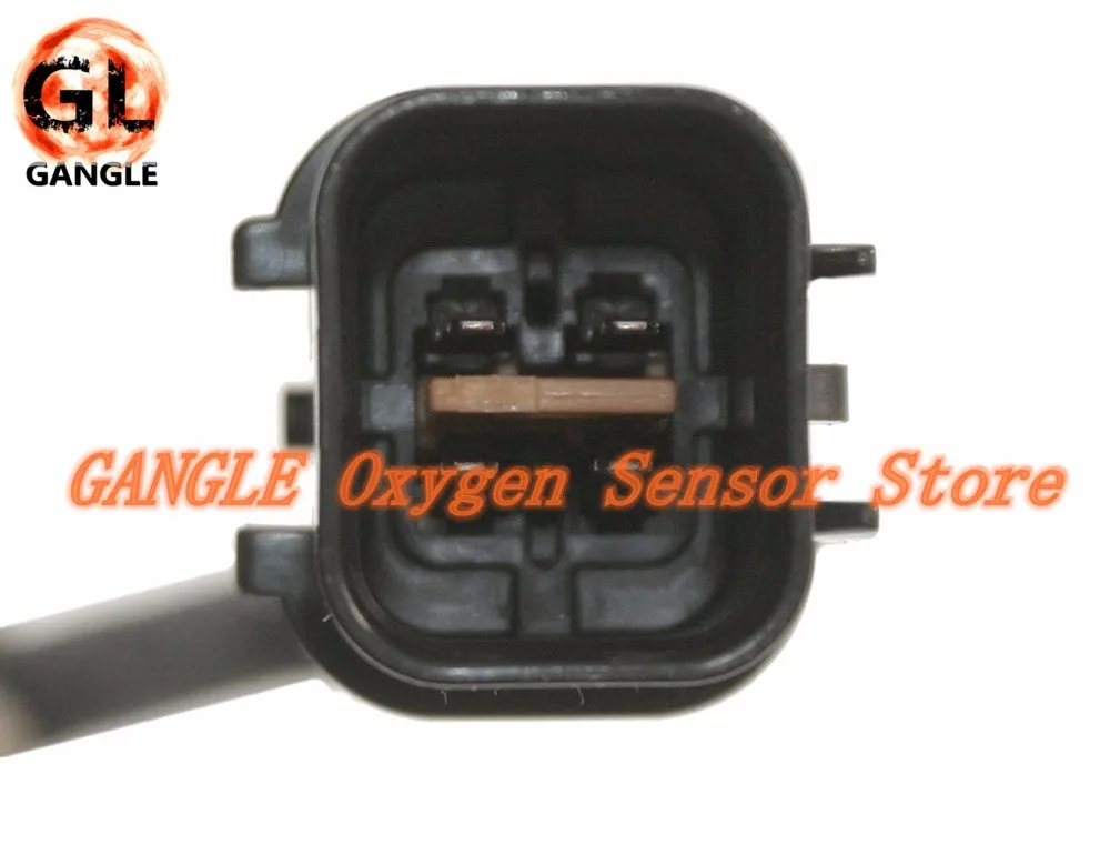 DOX-0313-2