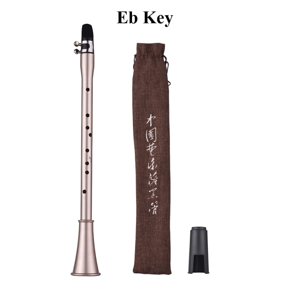 Bb/ C/ Eb Key Mini Clarinet Sax Compact Clarinet-Saxophone ABS Material Musical Wind Instrument for Beginners with Carry Bag - Цвет: Eb Key