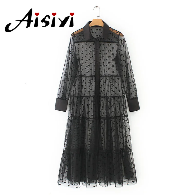 

Aisiyi Women's Polka Dot Perspective Dress Women Long Sleeve Lace Mesh Long Dresses Women Solid Color Holiday Party Beach Dress