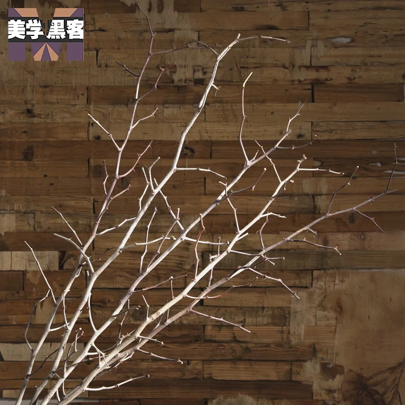 Popular Decorative Dried Tree BranchesBuy Cheap Decorative Dried Tree