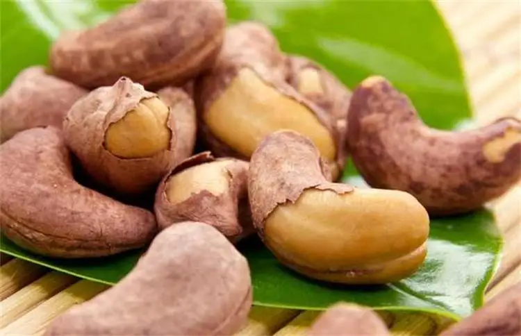 cashew