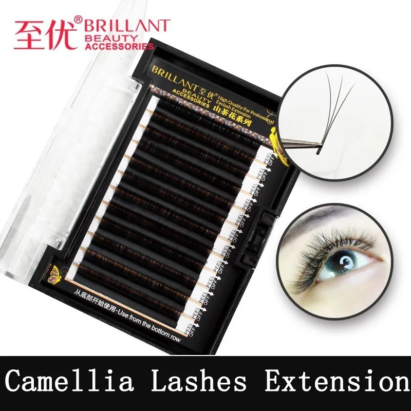 

BRILLANT Camellia Hybrid Volume Mega Excellent Beautiful Grafting Eyelashes Natural Soft Thick 3D6D9D Bloom Plant Eyelash 0.07