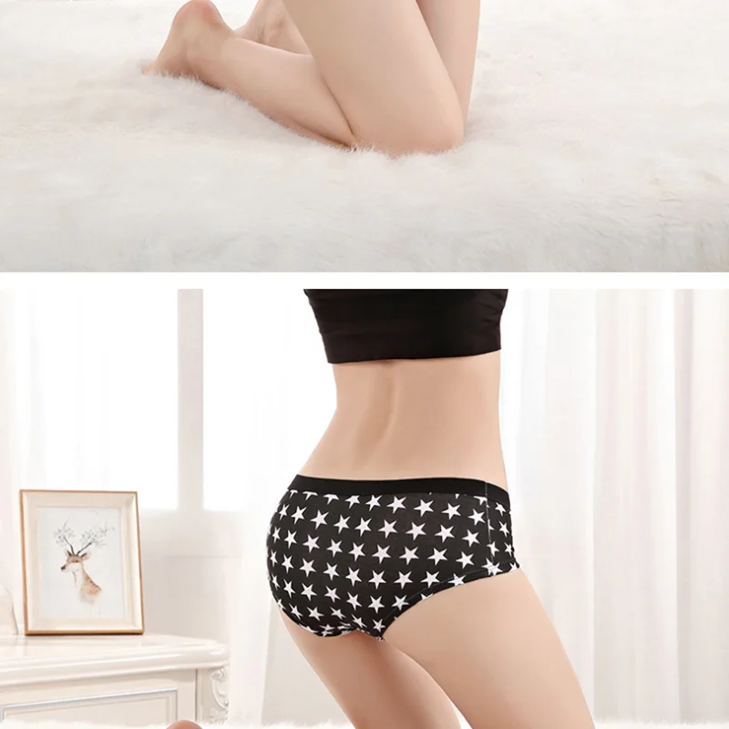 Briefs  (5)