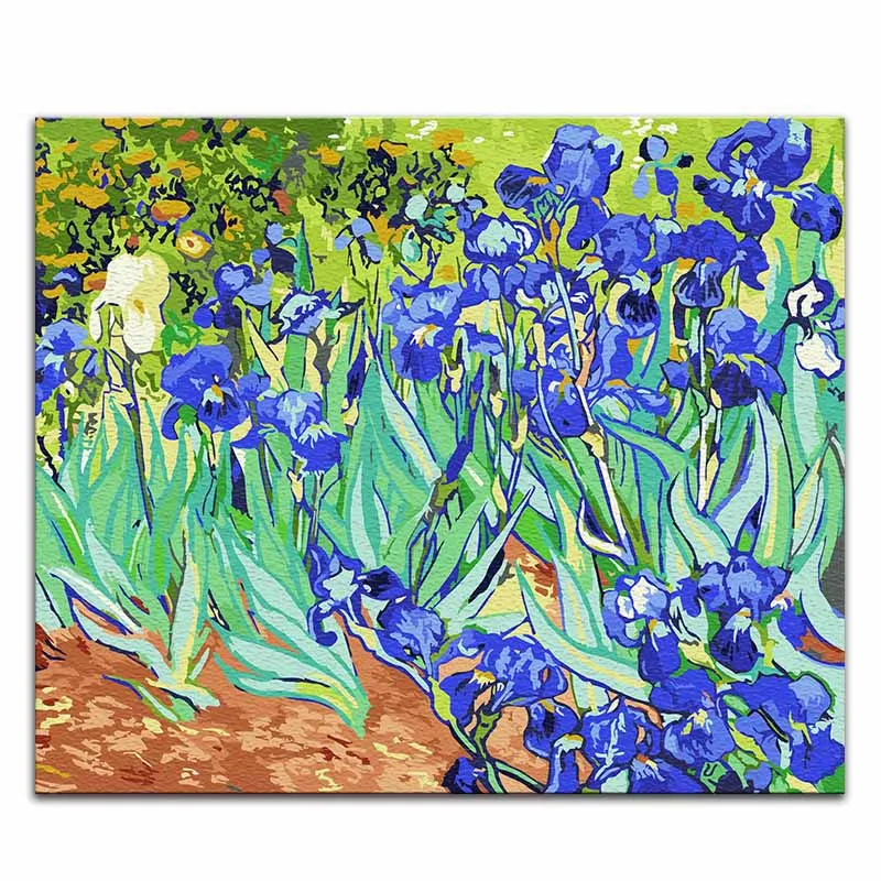 Картина «сделай сам» по номерам картины Винсента Ван Гога «Звездная ночь» Абстрактные Художественные картины с цветами - Цвет: 60041 iris 1