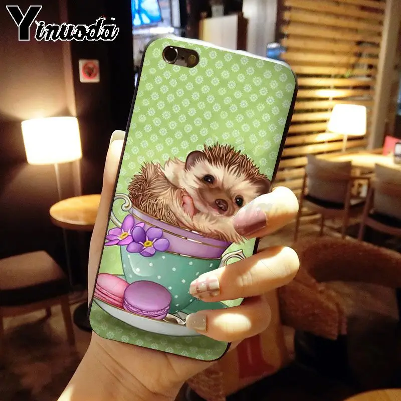 Hedgehog ride a bike Cute in Teacup Animal Art