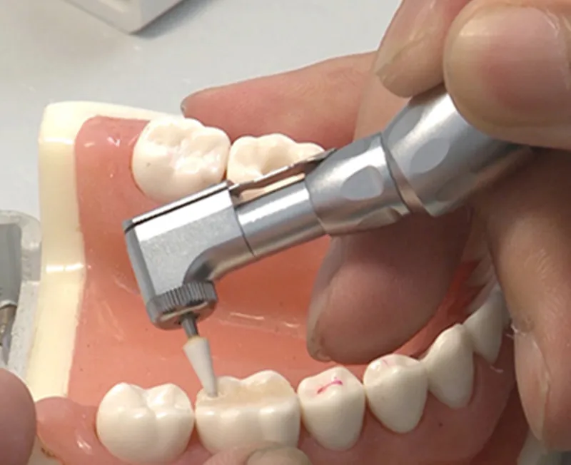 TB2qaRnchWYBuNjy1zkXXXGGpXa_!!3423421701_