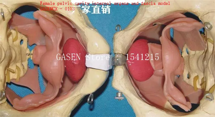 98.GASENCX-0103-2