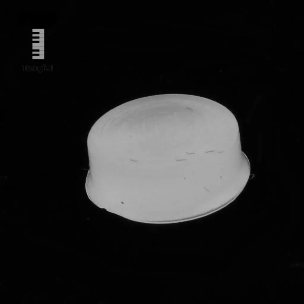 Tooyful Exquisite 20Pcs Silicone Flute Open Hole Plugs Woodwind Instrument Accessory for Flute Player