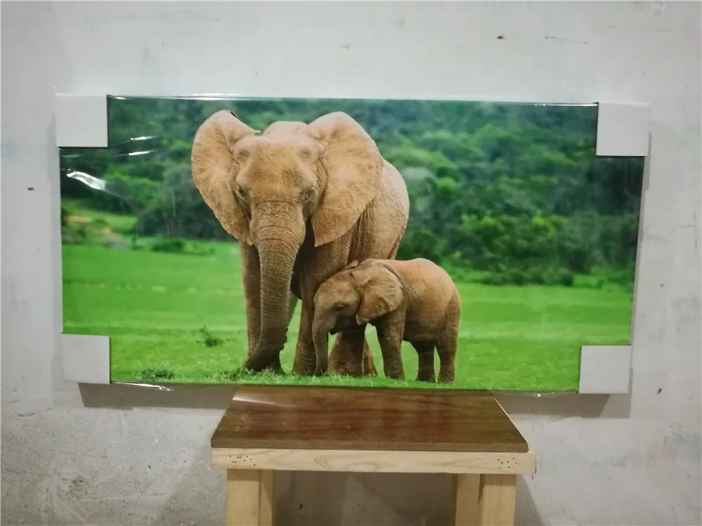 animal canvas art picture (2)