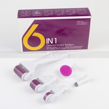 Дермароллер микронидлинг 0,2-0.3nm наборы для множественный уход за кожей сертификат CE