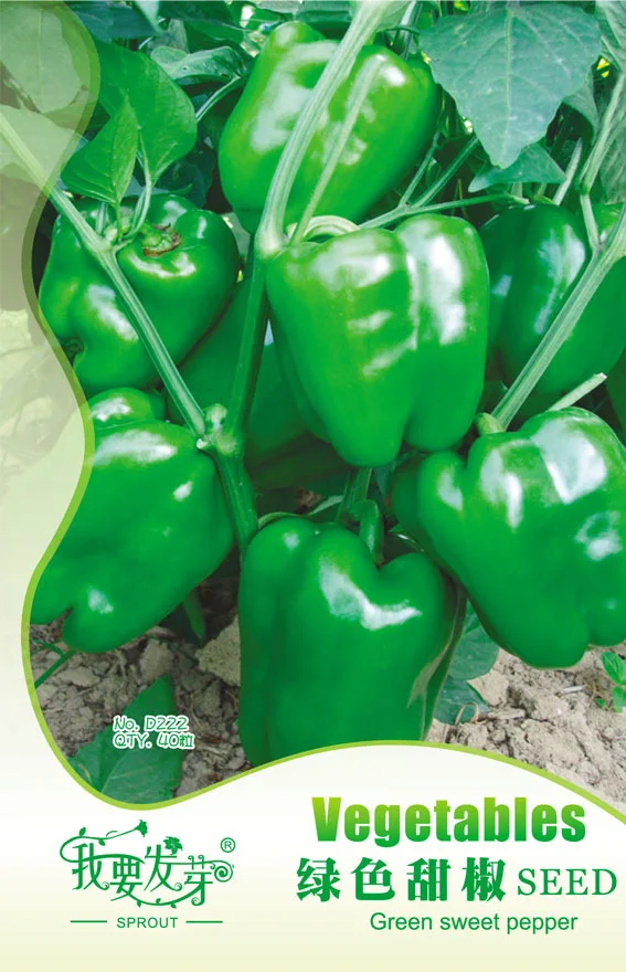 Original Pack 40 Seeds / Pack,Green sweet pepper seeds,Green bell