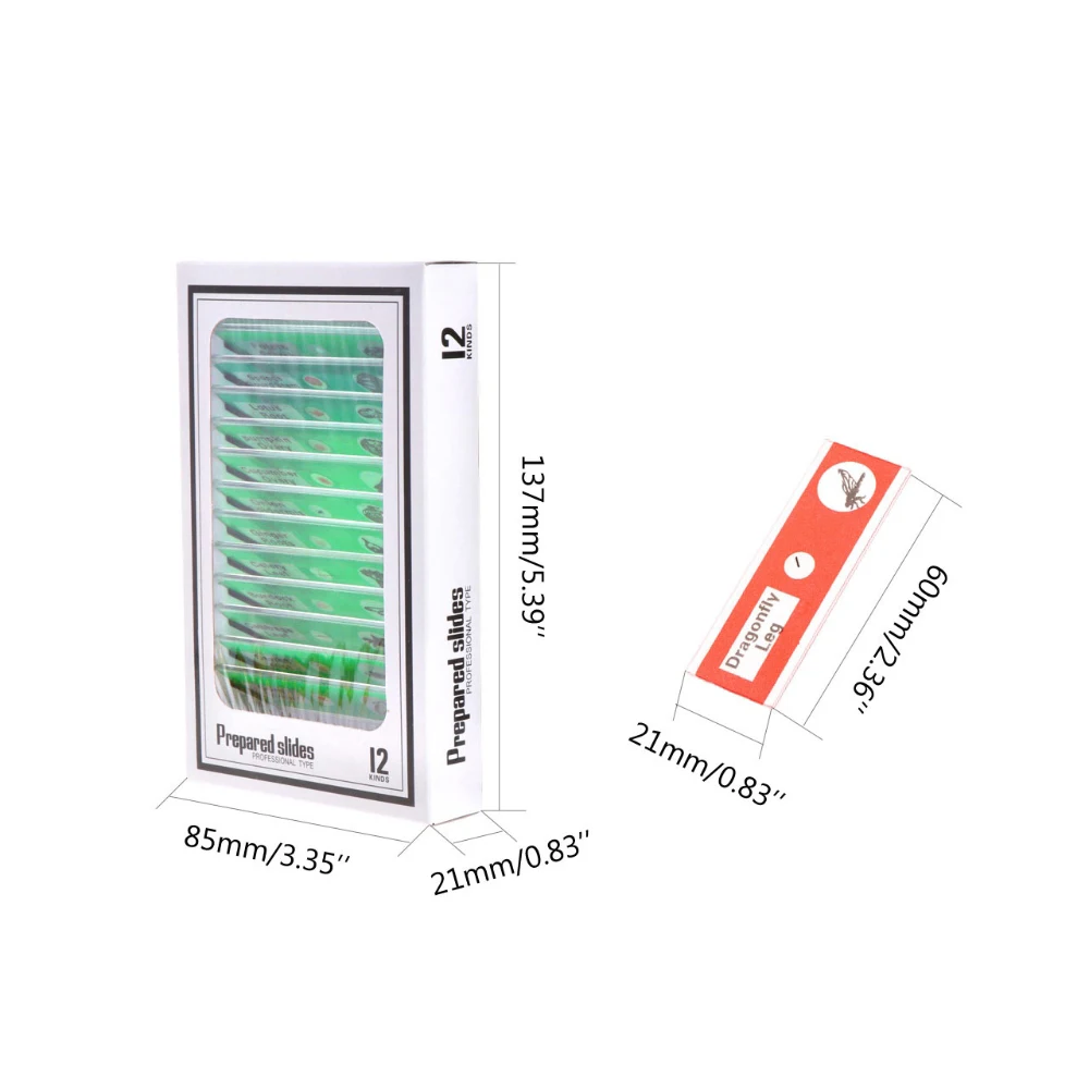 48 шт. готовый препарат для микроскопа пластиковый биологический образец мини камера насекомые растения образец для студентов детей